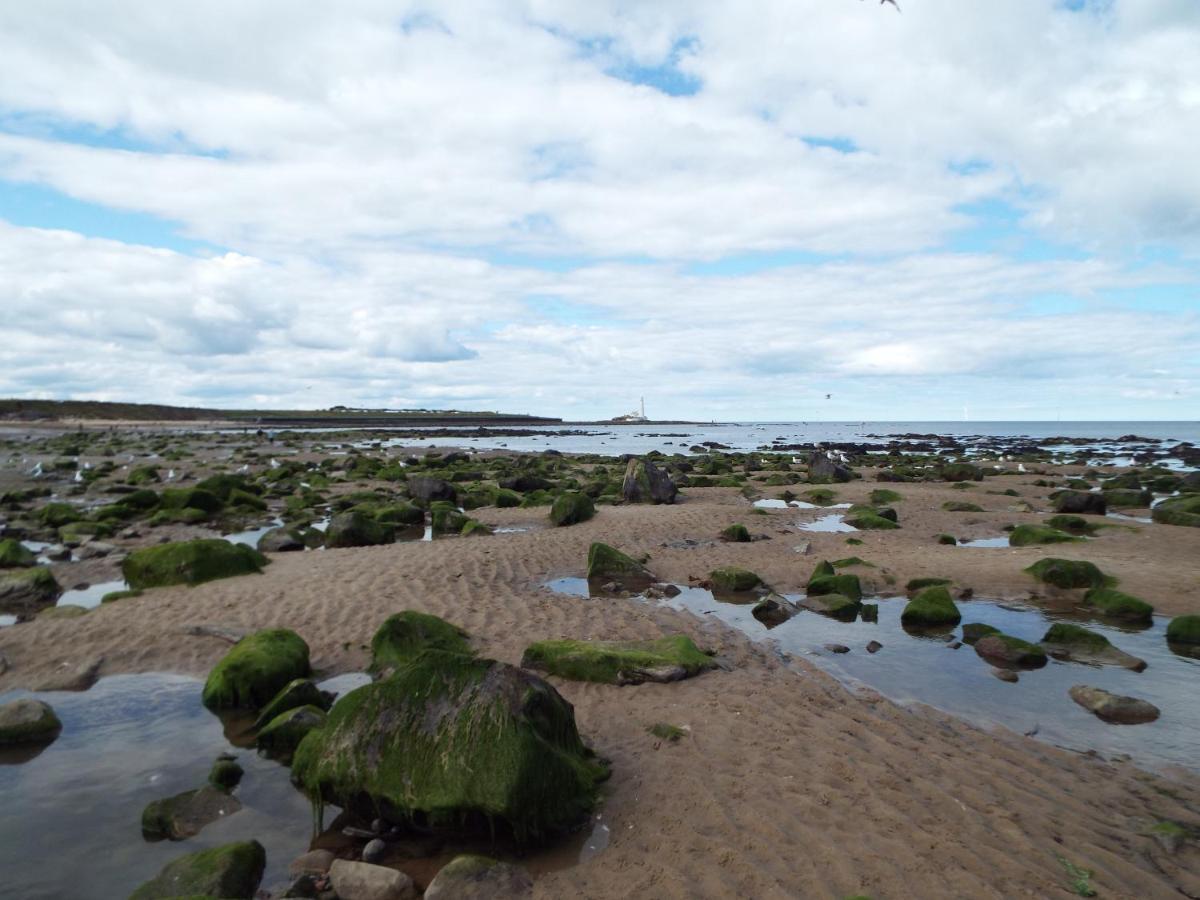 Boquhanran Caravan, Whitley Bay Hartley Dış mekan fotoğraf